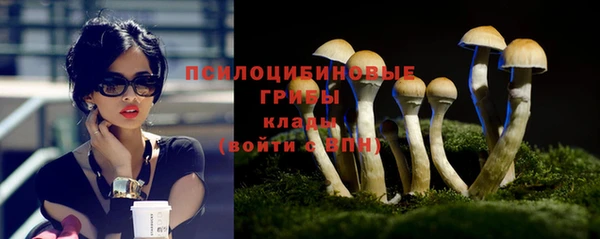 молекула духа Покров
