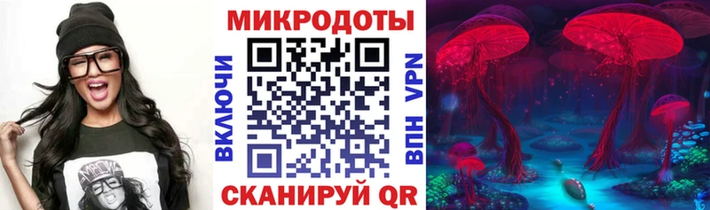 Псилоцибиновые грибы мицелий Серов